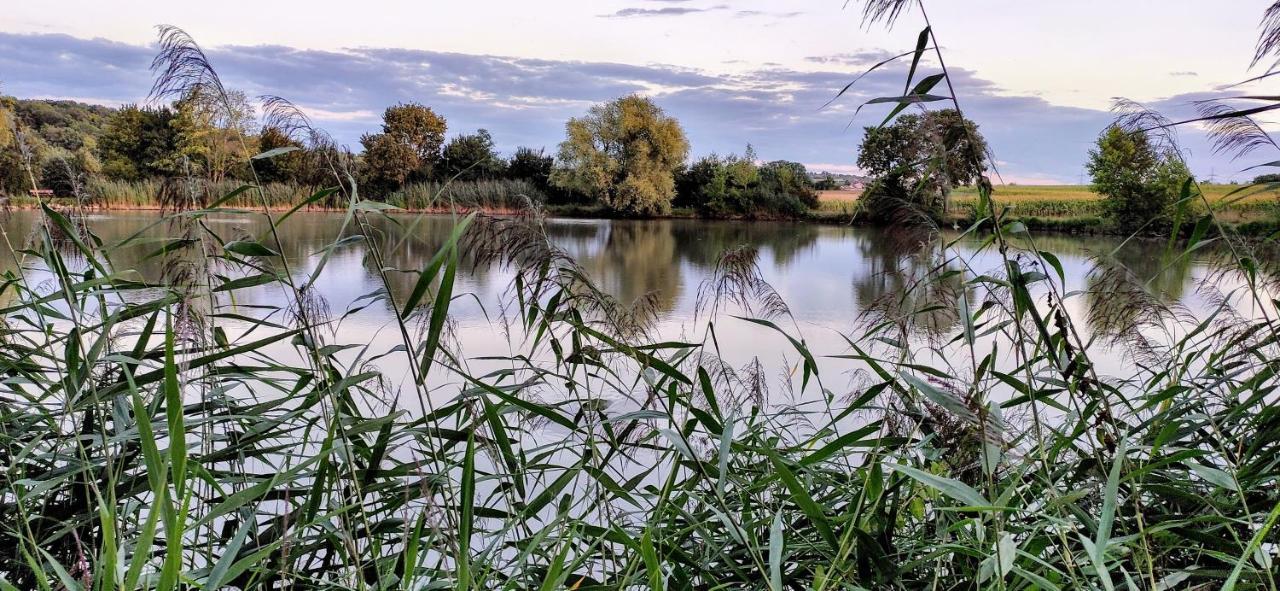 Ferienwohnung Kerstin Grambow Vaihingen an der Enz Buitenkant foto
